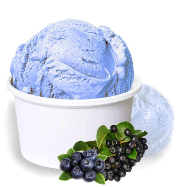 Aronia Blaubeere Low Carb Eis Vegan | Eispulver