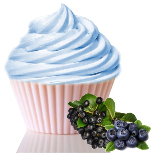 Frozen Joghurt Aronia Blaubeere Geschmack