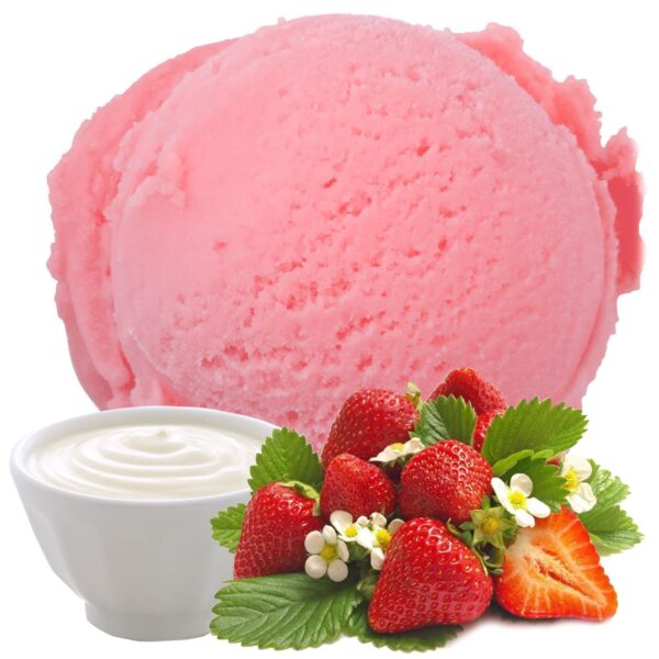 Joghurt Erdbeereis | Eispulver | Laktosefrei | Vegan | Keto | Glutenfrei