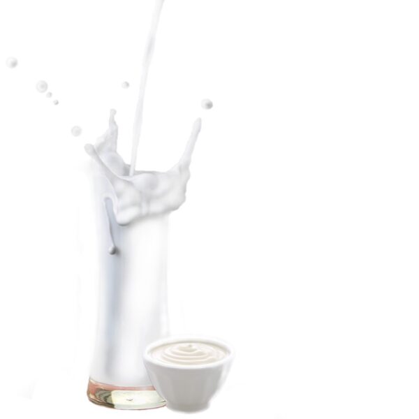 Joghurt Geschmack - Milchshake Pulver