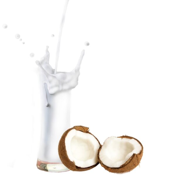 Kokosnuss Geschmack - Milchshake Pulver