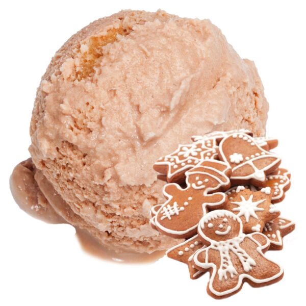 Lebkuchen Eis | Eispulver | Laktosefrei | Vegan | Keto | Glutenfrei