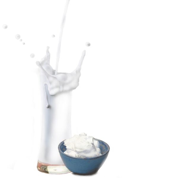 Mascarpone Geschmack - Milchshake Pulver